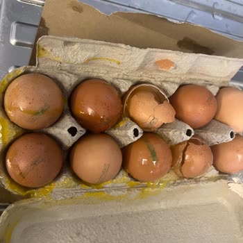 Kırık Ve Bozulmuş Yumurta Teslimatı İçin Ücret İadesi Talebi