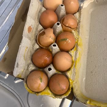 Kırık Ve Bozulmuş Yumurta Teslimatı İçin Ücret İadesi Talebi