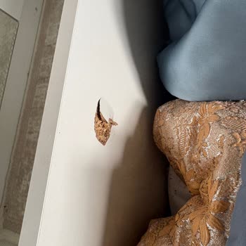 Kelebek Mobilya Yatak Bazası Kırıldı Ve Gıcırdıyor Ücretsiz Onarım Talebi