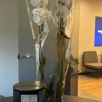 Hızlı Çiçek | Hizlicicek.com Hem Görsel Hem Anlam Olarak Tamamen Alakasız Bir Ürün Gitmiş