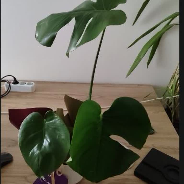 İzinsiz Ürün Değişikliği Ve Teslimat Saatine Uymama