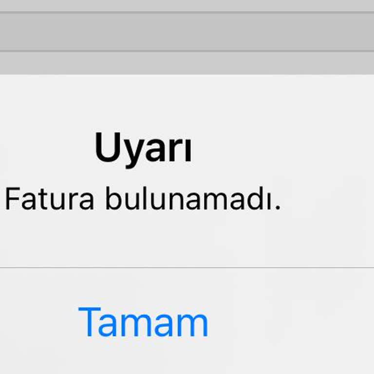 Trendyol GO'da E-Fatura Erişim Sorunu