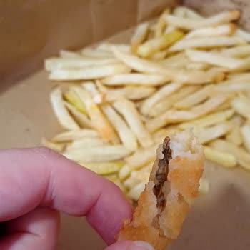 Trendyol GO’da Burger King Siparişinde Kertenkele Bulunması Hijyen Ve Sağlık Endişesi