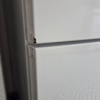 Bosch Buzdolabımda Paslanma Üretim Kusuru Olarak Reddedildi Ve Ücretsiz Değişim Talep Ediyorum