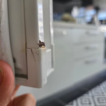 Bosch Buzdolabımda Paslanma Üretim Kusuru Olarak Reddedildi Ve Ücretsiz Değişim Talep Ediyorum