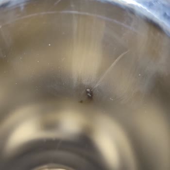 Karaca Züccaciye Kısa Sürede Paslanma Olması