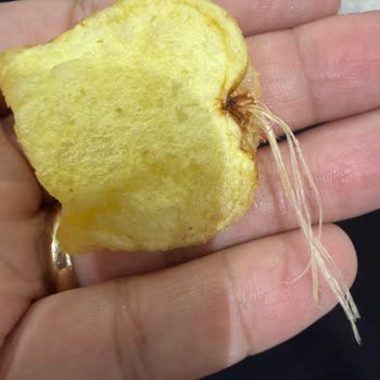 Lays Klasik Cipsinde Yabancı Madde Tespiti Ve Şirketin Geri Dönüş Yapmaması