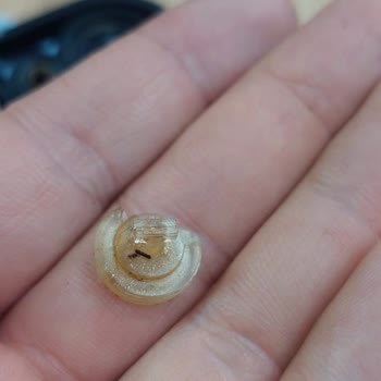 Valf Contası Arızası Düdüklü Tencereleri Kullanılamaz Kılıyor