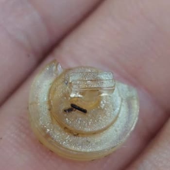 Valf Contası Arızası Düdüklü Tencereleri Kullanılamaz Kılıyor