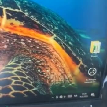 Türk Telekom İnternet Arızası!