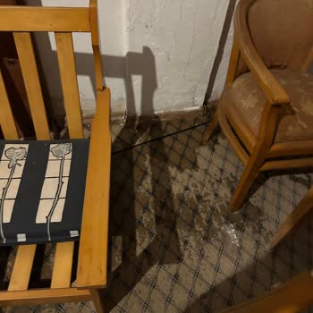 Allianz İş Yeri Paketi Sigortasında Su Hasarı Reddi Ve Tazminat Talebi