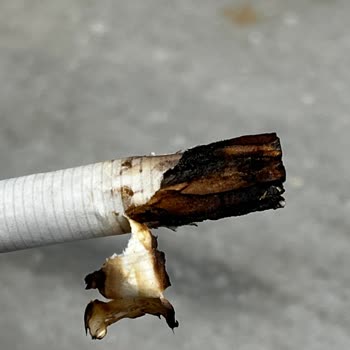 Marlboro Touch Blue'da Tütün Yerine Odun Kullanımı