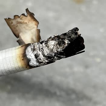 Marlboro Touch Blue'da Tütün Yerine Odun Kullanımı