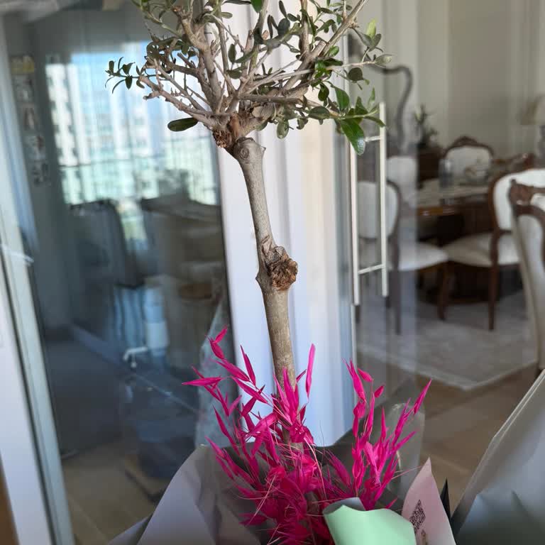 Görsel Onay Verilmemesi Ve Yanıltıcı Kuru Aranjman Teslimatı