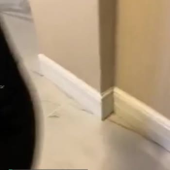 Lumberjack Taban Erimesi Ve Dağılması!