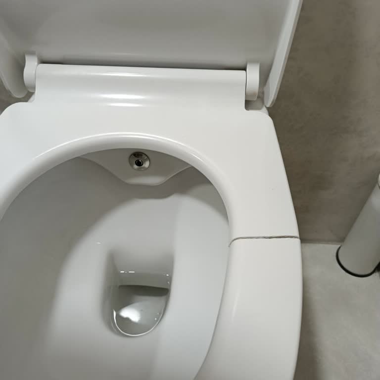 Kale Duvar Tipi Klozet Kapakları Kısa Sürede Çatlayıp Kırıldı, Ücretsiz Değişim Talebi