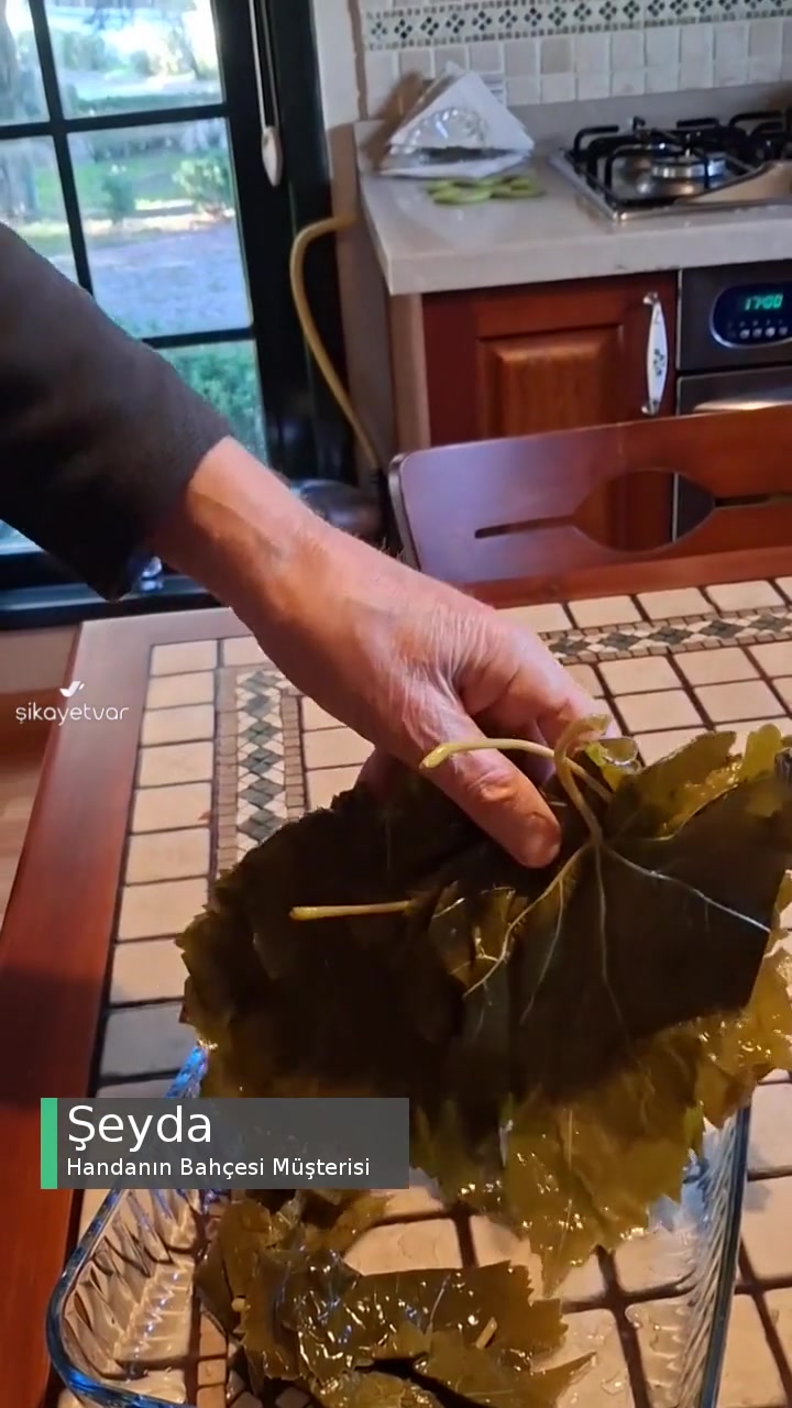 Handanın Bahçesi Yapraklar Çok Özensiz, Kart Ve Büyüklerinden Seçilmiş! videonun kapak resmi