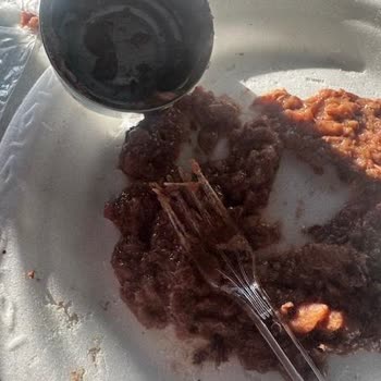 Kedi Konservesinde Kılçık Bulunması Hayati Tehlike Yaratıyor