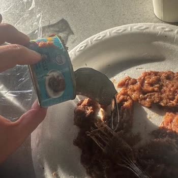 Kedi Konservesinde Kılçık Bulunması Hayati Tehlike Yaratıyor