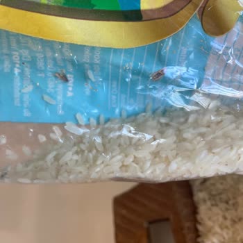 Ovadan Pirincinde Böcek Kirliliği Ve A101 İade Reddi Şikayeti