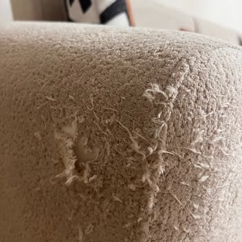 Haytap Belgesi Olmadan Pet Dostu Koltuk Değişimi Reddedildi