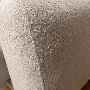 Haytap Belgesi Olmadan Pet Dostu Koltuk Değişimi Reddedildi