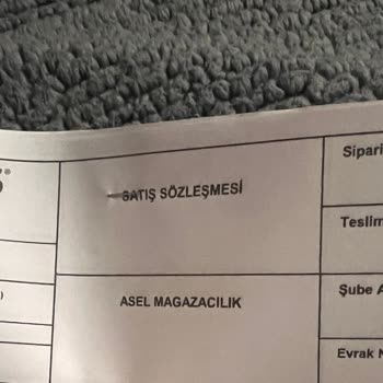 Haytap Belgesi Olmadan Pet Dostu Koltuk Değişimi Reddedildi