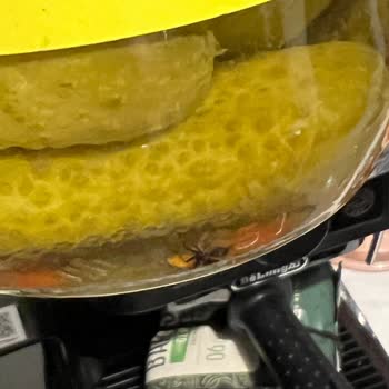 Kavanozda Sinek Bulunması Ve Müşteri Hizmetlerinden Cevap Almama