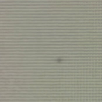 Kutu Çıkar Çıkarınca Ekranda Çizgiler Ve Ölü Piksel Nedeniyle LG Monitör İade Ve Değişim Talebi