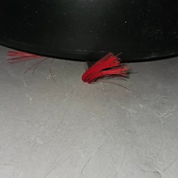 Dyson Spot+Scrub Fırça Arızası Ve Zeminde Su Bırakması