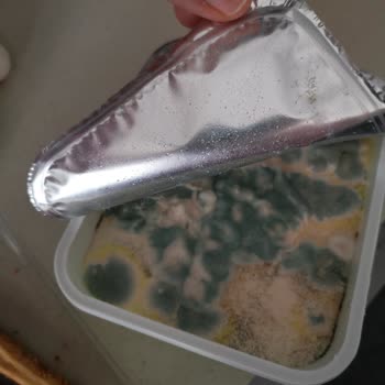 Küflü Süzme Peynir İçin Değişim Talebi