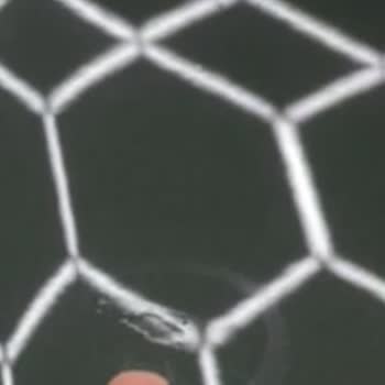 Citroen Yeni Araç Kaputunda Yetkisiz Rötuş Teslim Edilmesi Ve Yıldırma Politikası Şikayeti