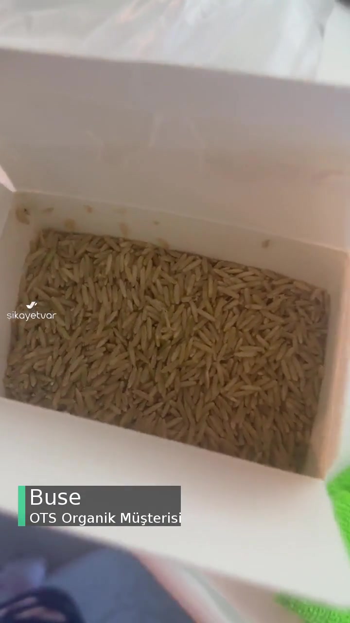 Ots Organik Pirinçte Kurt! videonun kapak resmi