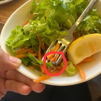 Merve Pide Plus'ta Salata İçinde Salyangoz Görmek Ve Hijyen İhlali