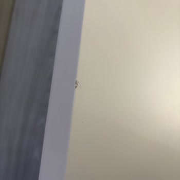 Defolu Teşhir Ürünlerinde Nakliye Ücreti İstemeyen İade Talebi Ve Saygısız Çalışan Tutumu