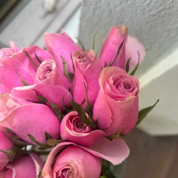 Lilyana Flowers’tan Aldığım Solgun Ve Hasarlı Çiçekler İçin İade Talebim Reddedildi