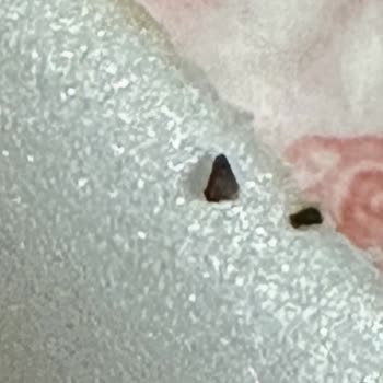 Soğuk Ve Taş Çıkan Yemek, Getir'den Yardım Alamama