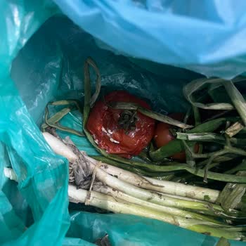 Garantili Bosch Buzdolabım Kapakları Pas Tutmuş, Ücretli Değişim İstiyorlar