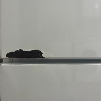 Garantili Bosch Buzdolabım Kapakları Pas Tutmuş, Ücretli Değişim İstiyorlar