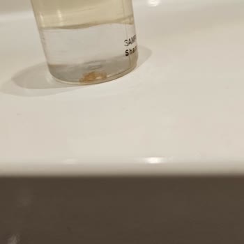 Şehir Manzarası Söz Verilen Oda Boşluk Ve Gürültülü Havalandırma İle Karşılaştı