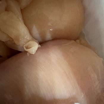 Gedik Piliç Tavuk Göğsü Kötü Koku Ve Lastik Gibi Doku İle Sağlık Riski Yaratıyor