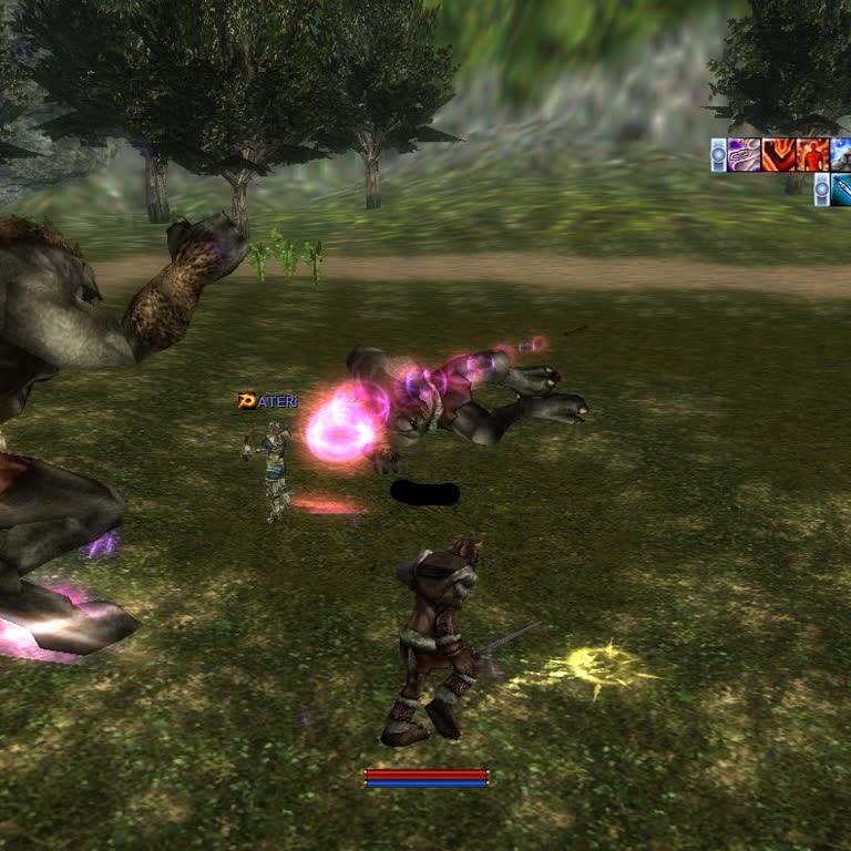 Knight Online Cheating Problem Ruining Fair Gameplay