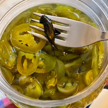 A101’den Alınan Galle Jalepone Biber Turşusunda Çekirge Bulundu