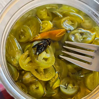 A101’den Alınan Galle Jalepone Biber Turşusunda Çekirge Bulundu