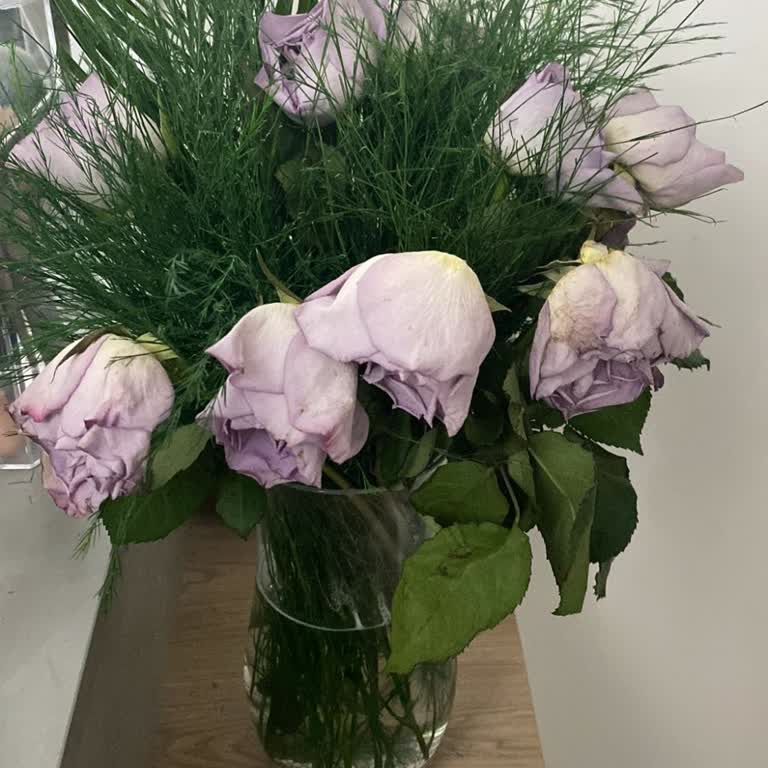 Hızlı Çiçek’te Kırık Yapraklı Ve Hızla Solan Çiçek Siparişi İçin İade Talebi