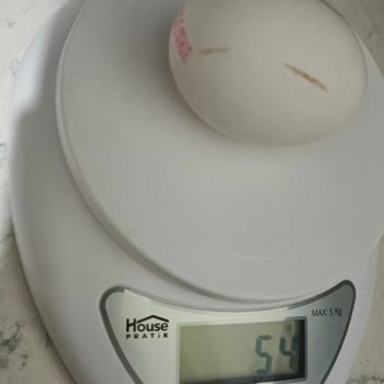 Kütahya'da L Sınıfı Yumurta Ağırlığı Standart Dışı Ve Tüketici Yanıltılması