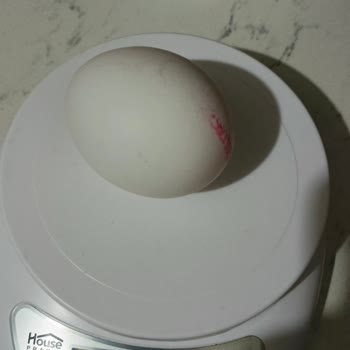 Kütahya'da L Sınıfı Yumurta Ağırlığı Standart Dışı Ve Tüketici Yanıltılması