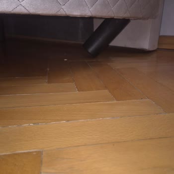 Ankara Oğuzlar Concept Mağaza Dikmen Şubesi Şikayeti