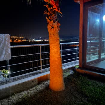 Yanlış Renkli Ve Çalışmayan Solar Bahçe Lambası