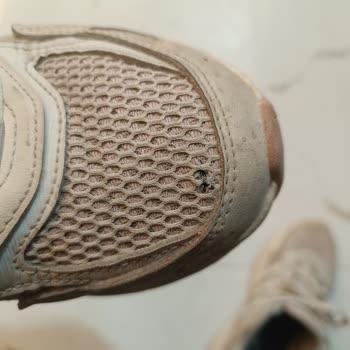 Adidas Ayakkabının Erken Yırtılması Ve Garanti Reddi